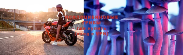 ГАЛЛЮЦИНОГЕННЫЕ ГРИБЫ Липки
