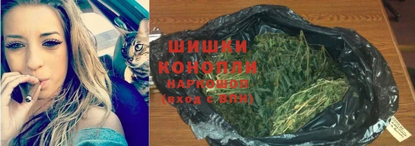 ГАЛЛЮЦИНОГЕННЫЕ ГРИБЫ Липки