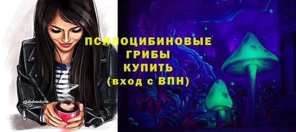 ГАЛЛЮЦИНОГЕННЫЕ ГРИБЫ Липки